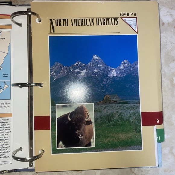 wildlife fact file Sections 6-11, Roughly 350 Cards - Picture 11 of 15